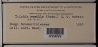 Image Associated With the Occurence